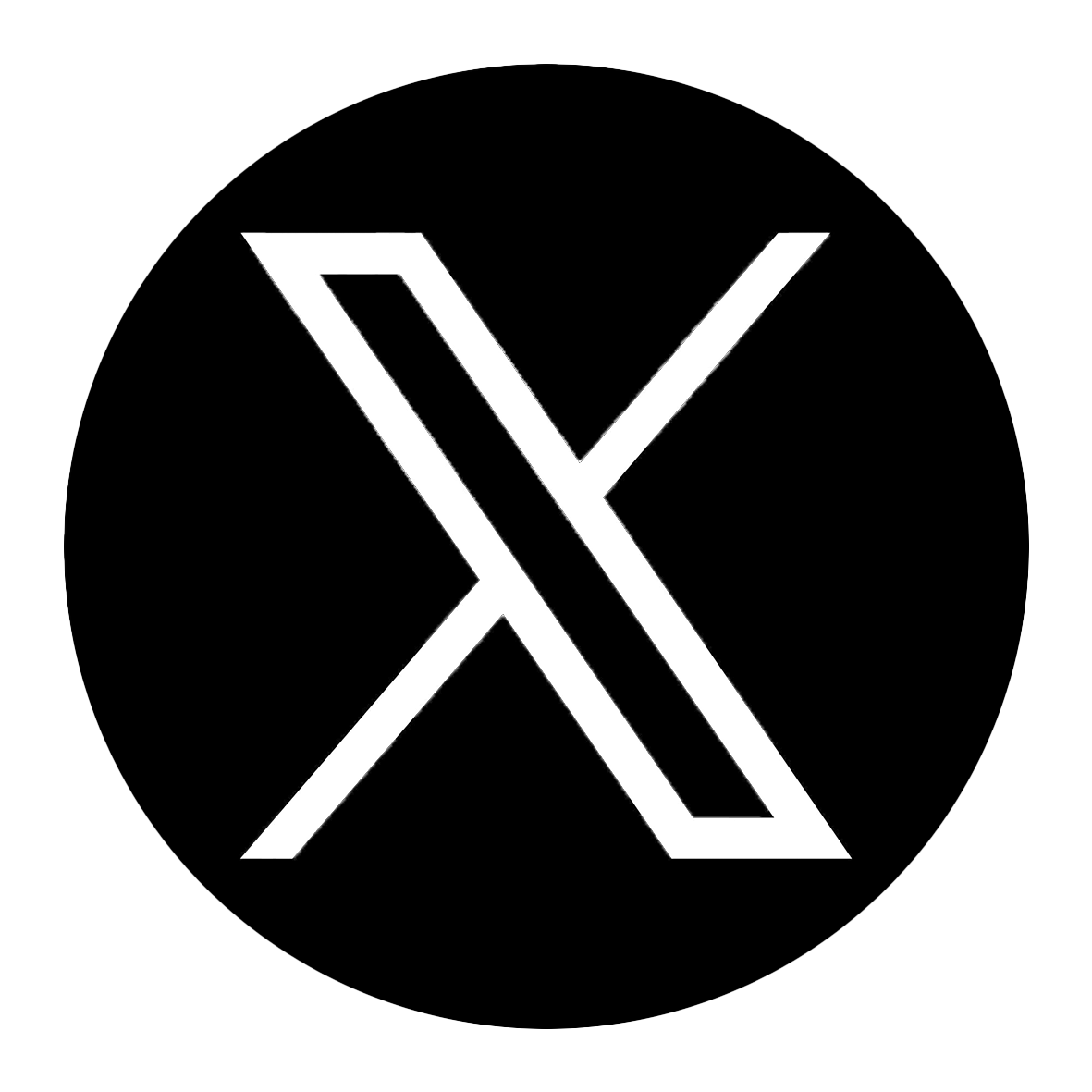X Icon